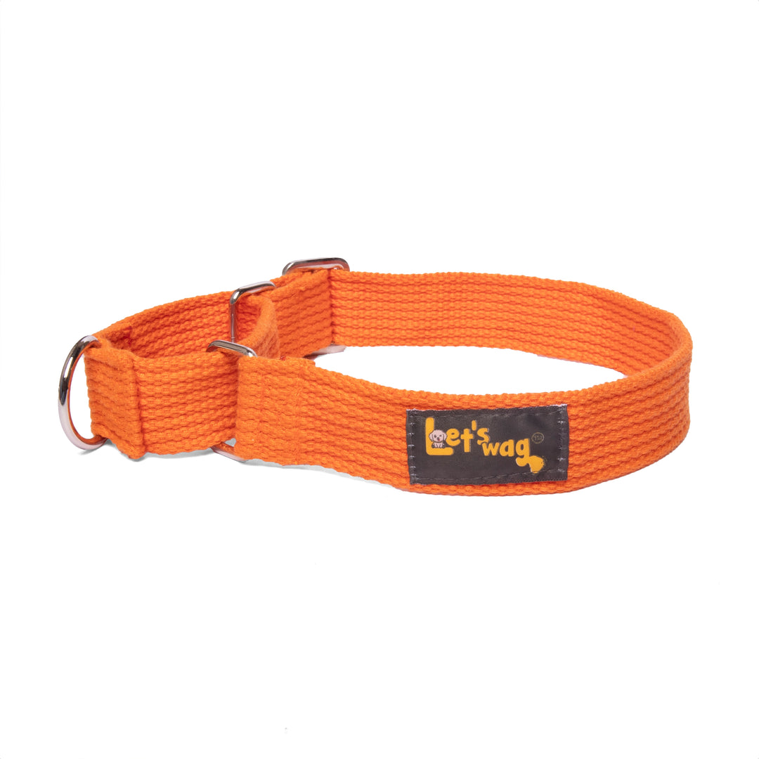 Letswag Martingale Collar