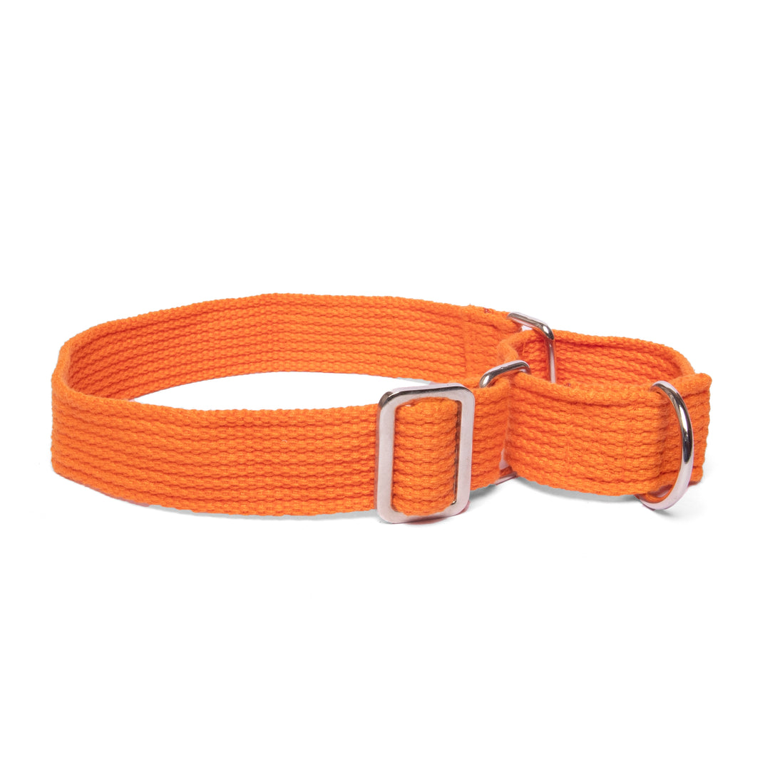 Letswag Martingale Collar