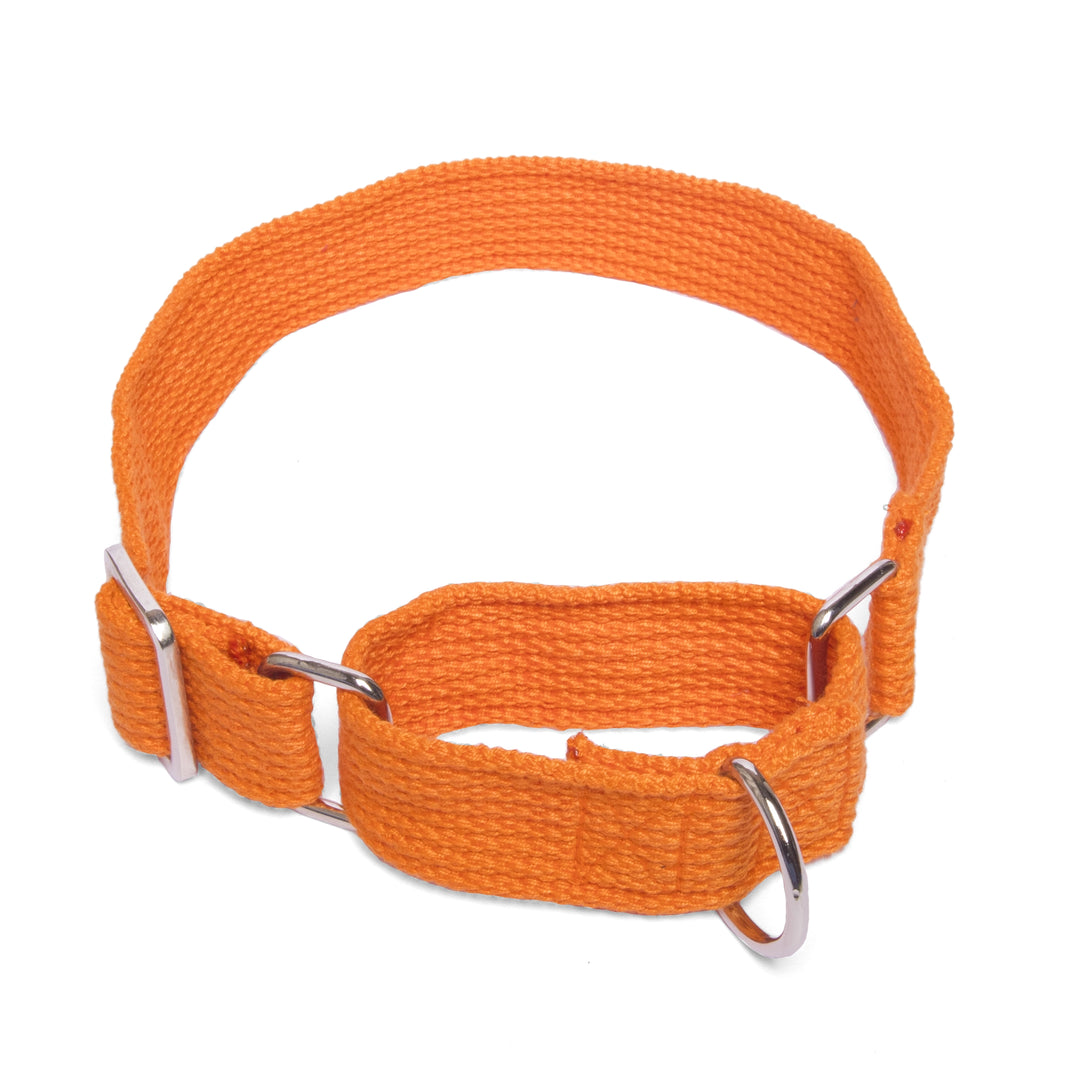 Letswag Martingale Collar