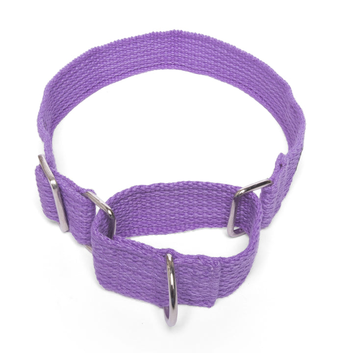 Letswag Martingale Collar