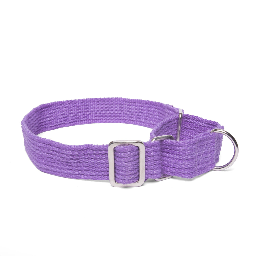 Letswag Martingale Collar