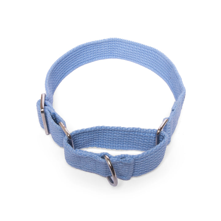 Letswag Martingale Collar