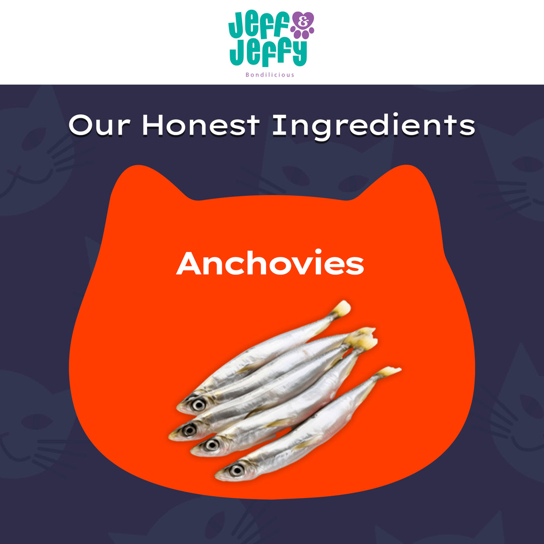 Jeff and Jeffy Freeze Dried Anchovies