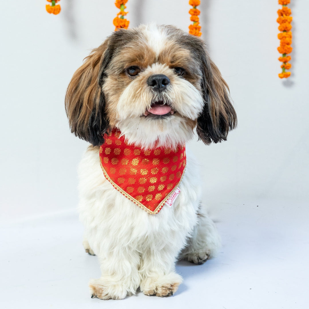 Pawgy Pets Occasion wear bandana Red for Dogs & Cats