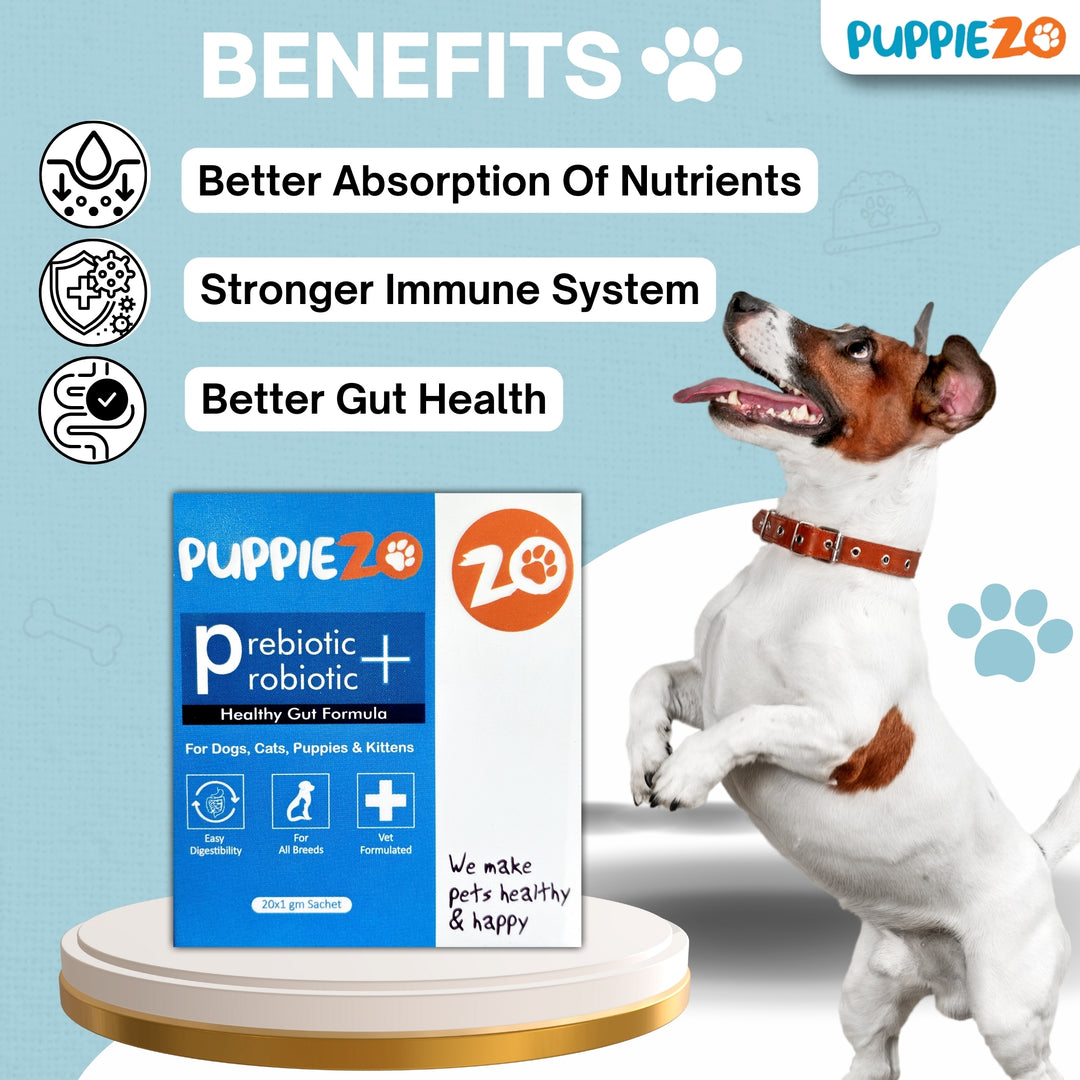 Puppiezo Pre & Probiotic Powder Supplements for Cats and Dogs