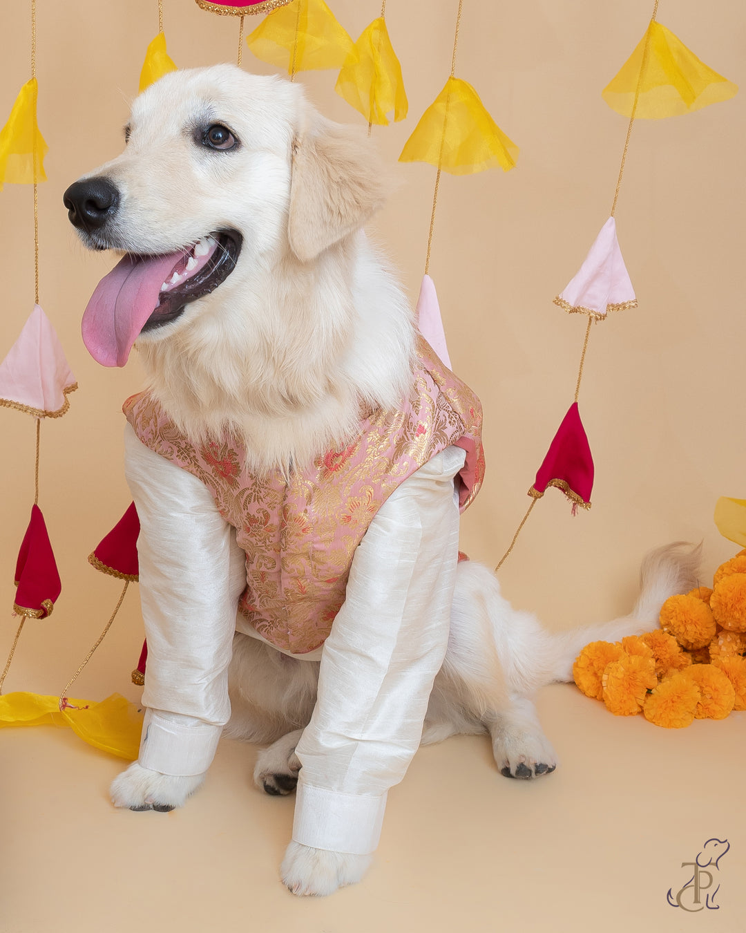 Papaw cartel Pink & Golden Brocade Koti Kurta