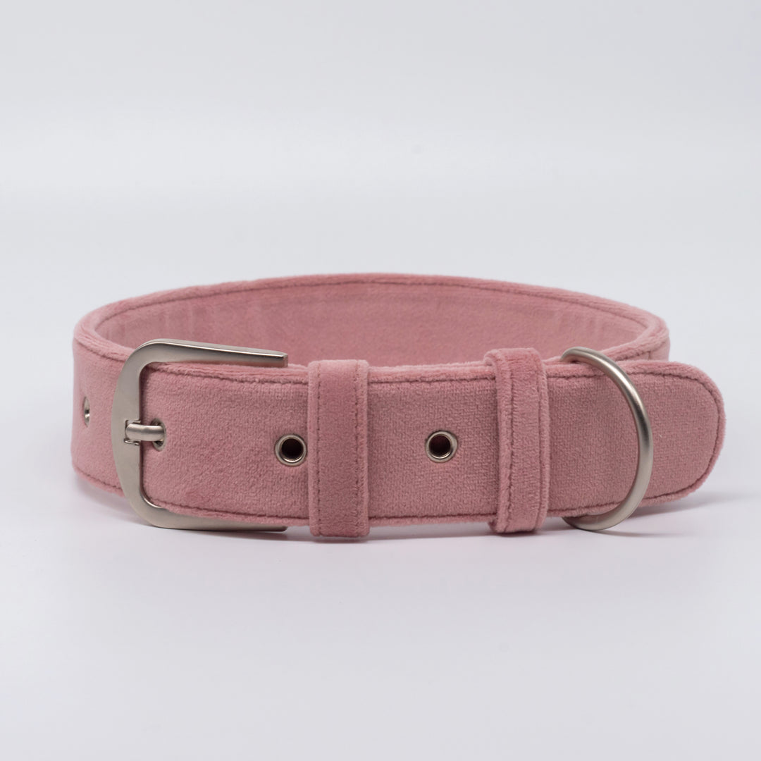 pAww! Suede Collar