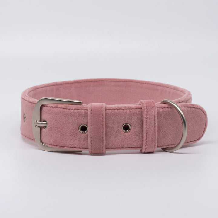 pAww! Suede Collar