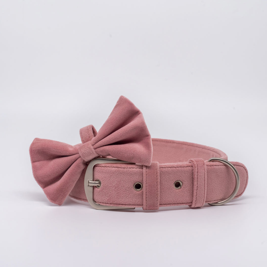 pAww! Suede Sailor Bow Tie