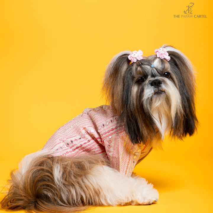 Papaw cartel Shades of pink mirrored sherwani for dogs