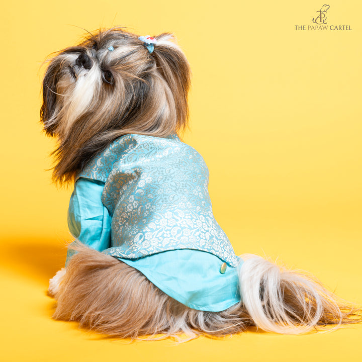 Papaw cartel Sky Blue Neemzari koti kurta set for dogs