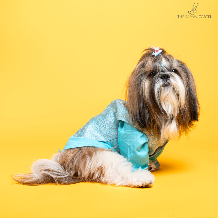 Papaw cartel Sky Blue Neemzari koti kurta set for dogs