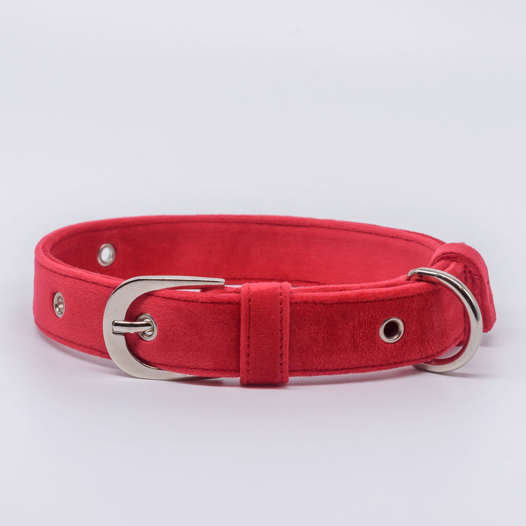 pAww! Suede Collar