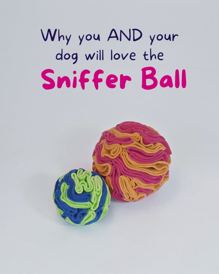 For the love of Dog Sniffer Ball for Dogs