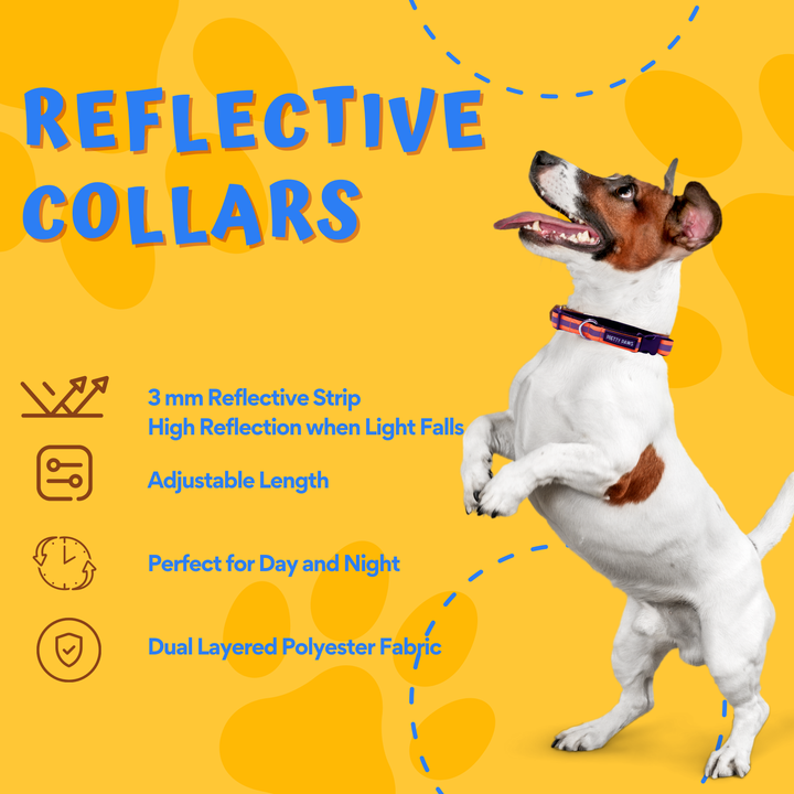 Pretty Paws Non-Padded Reflective Collar